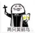 两只黄鹂鸟