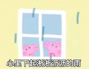 我怎么觉得佩奇自带嘲讽昂，这眼神这表情好像在讲“你是傻子”