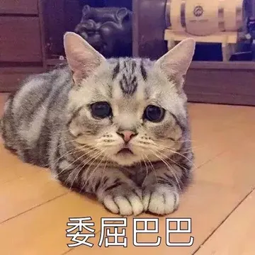 委屈巴巴