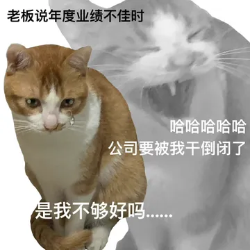 老板说年度业绩不佳时哈哈哈哈哈公司要被我干倒闭了是我不够好吗●●●●●●