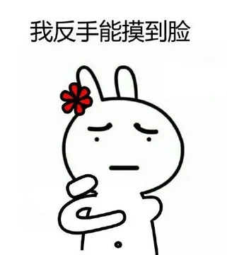 我反手能摸到脸