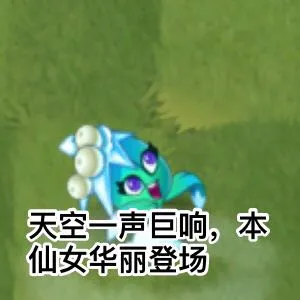 天空一声巨响.本仙女华丽登场