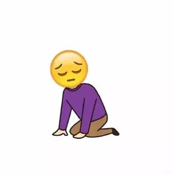 周末，一个狗的孤单。
