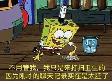 小心地滑0:不用管我，我只是来打扫卫生的因为刚才的聊天记录实在是太脏了