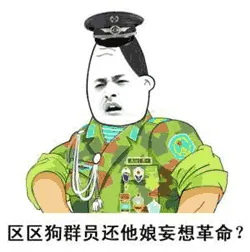 区区狗群员.还他娘妄想革命?