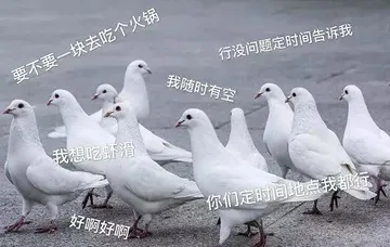 要不要一块去吃个火锅