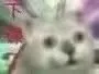 下课了