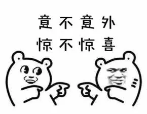 意不意外.惊不惊喜