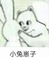 小兔崽子!(兔子)