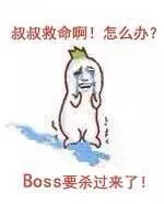 叔叔救命啊！怎么办？BOSS要杀过来了！（金馆长罗罗布哭了）
