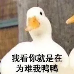 抓鸭子，我看你就是在为难我鸭鸭