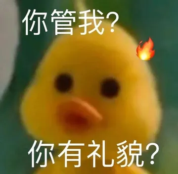 你管我?你有礼貌?