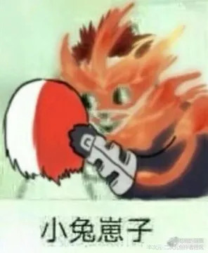 小兔崽子