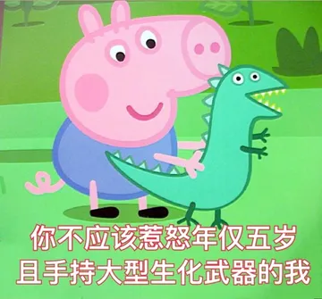 我怎么觉得佩奇自带嘲讽昂，这眼神这表情好像在讲“你是傻子”
