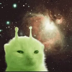 外星小猫gif表情包