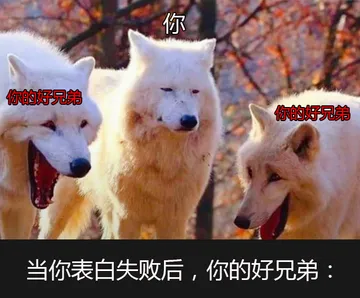 当你表白失败后，你的好兄弟（三只狐狸搞笑图）