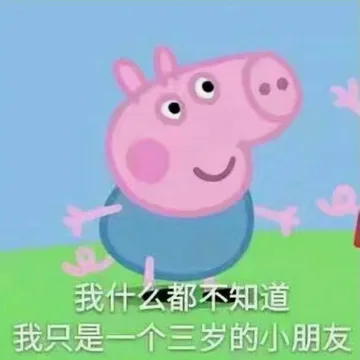 佩奇IV