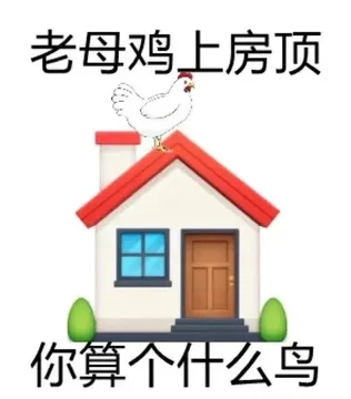 老母鸡上房顶你算个什么鸟