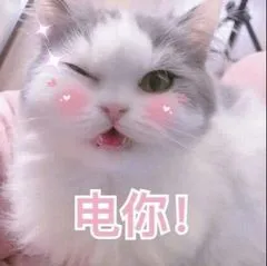 电你