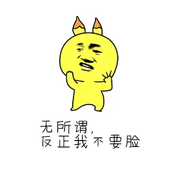 无所谓，反正我不要脸