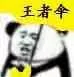 王者伞