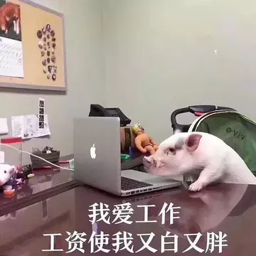 我爱工作.工资使我又白又胖