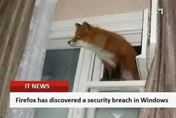 Time To Patch Windows