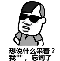 想说什么来着？我艹，忘词了