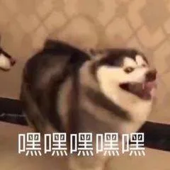 嘿嘿嘿嘿嘿