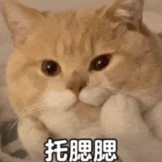 托腮腮