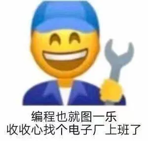 编程也就图一乐收收心找个电子厂上班了