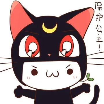 保护公主！