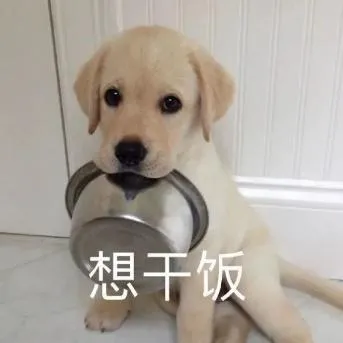 想干饭