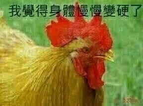 鸡儿：我觉得身体慢慢变硬了