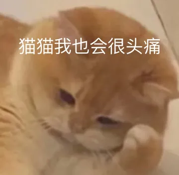 猫猫我也会很头痛