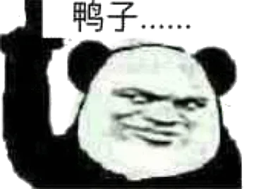 鸭子