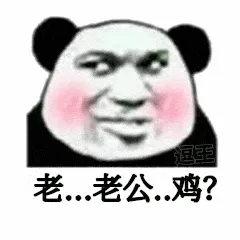 老老公鸡?