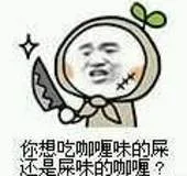 你想吃咖喱味的屎，还是屎味的咖喱？