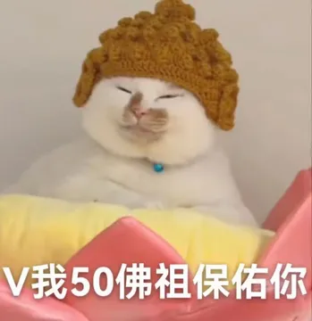 V我50佛祖保佑你(猫猫表情包)