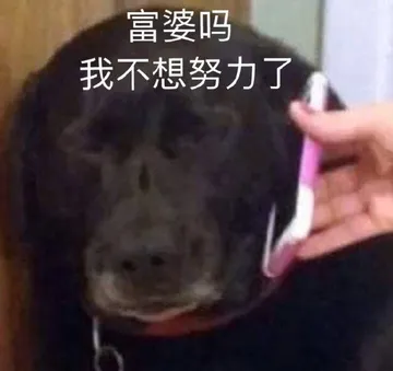 富婆吗我不想努力了