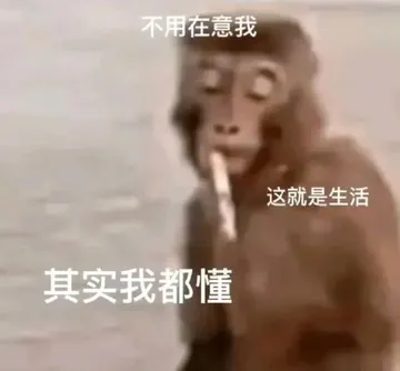 不用在意我这就是生活其实我都懂