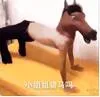 马了