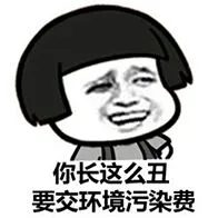 你长这么丑.要交环境污染费