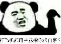 飞机都用兰花指你很自豪?