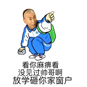 看你麻痹看 没见过帅哥啊 放学砸你家窗户