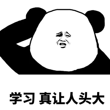 学习真让人头大