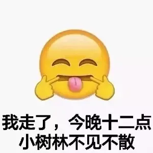 我走了，今晚十二点小树林不见不散