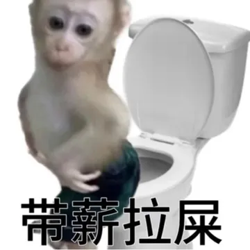 带薪拉屎