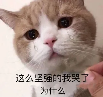 这么坚强的我哭了 为什么（流泪猫咪） - 近期斗图表情包精选-2019-5-30