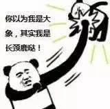 你以为我是大象.其实我是辆长颈鹿贴!